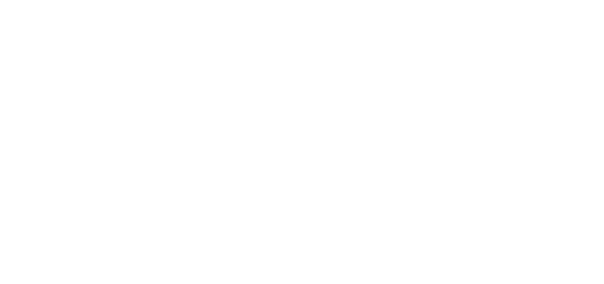 小民參政歐巴桑聯盟
